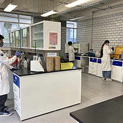 Laboratorio